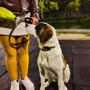 viber_image_2025-02-08_23-28-58-012