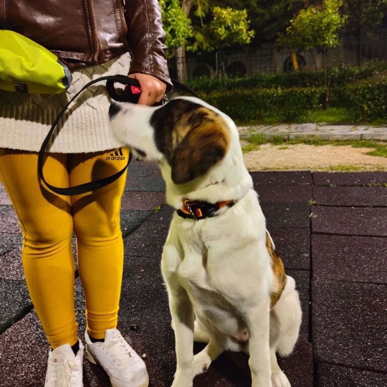 viber_image_2025-02-08_23-28-58-012