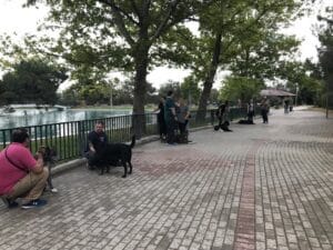 viber_image_2025-02-08_23-28-58-210