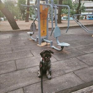 viber_image_2025-02-08_23-28-58-984